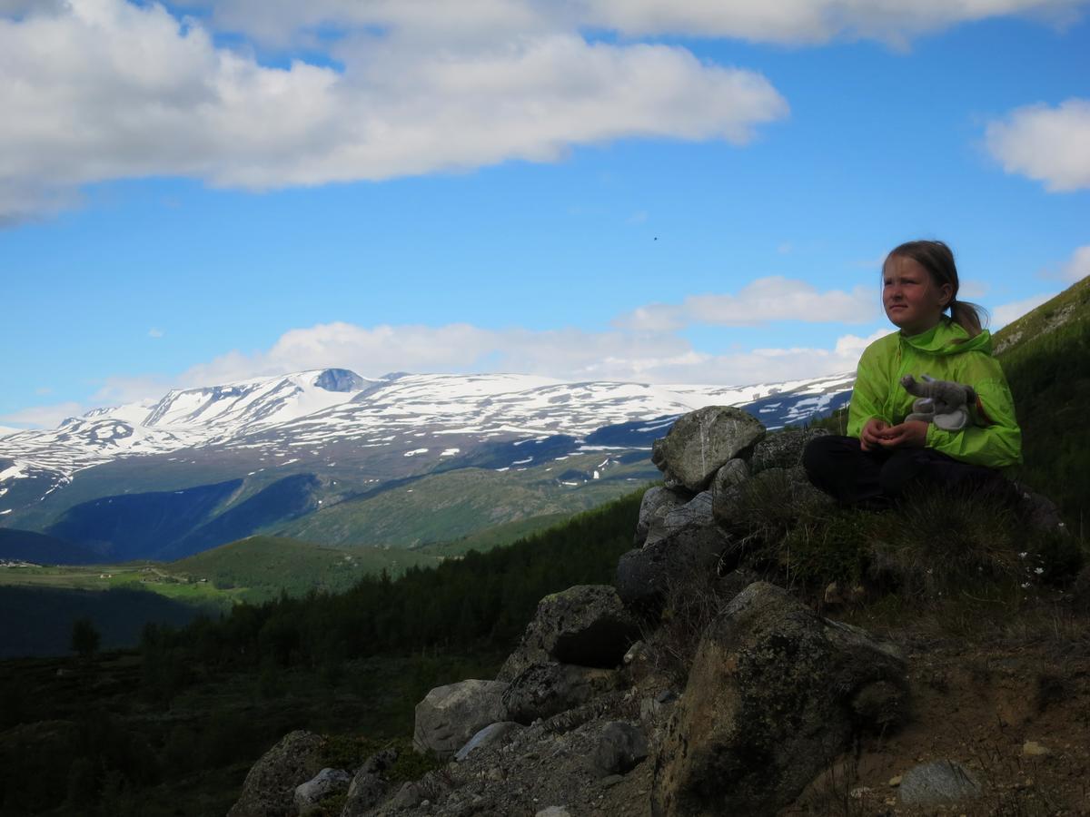 Villa Strind Gard, Visdalssetra Boverdalen Esterno foto